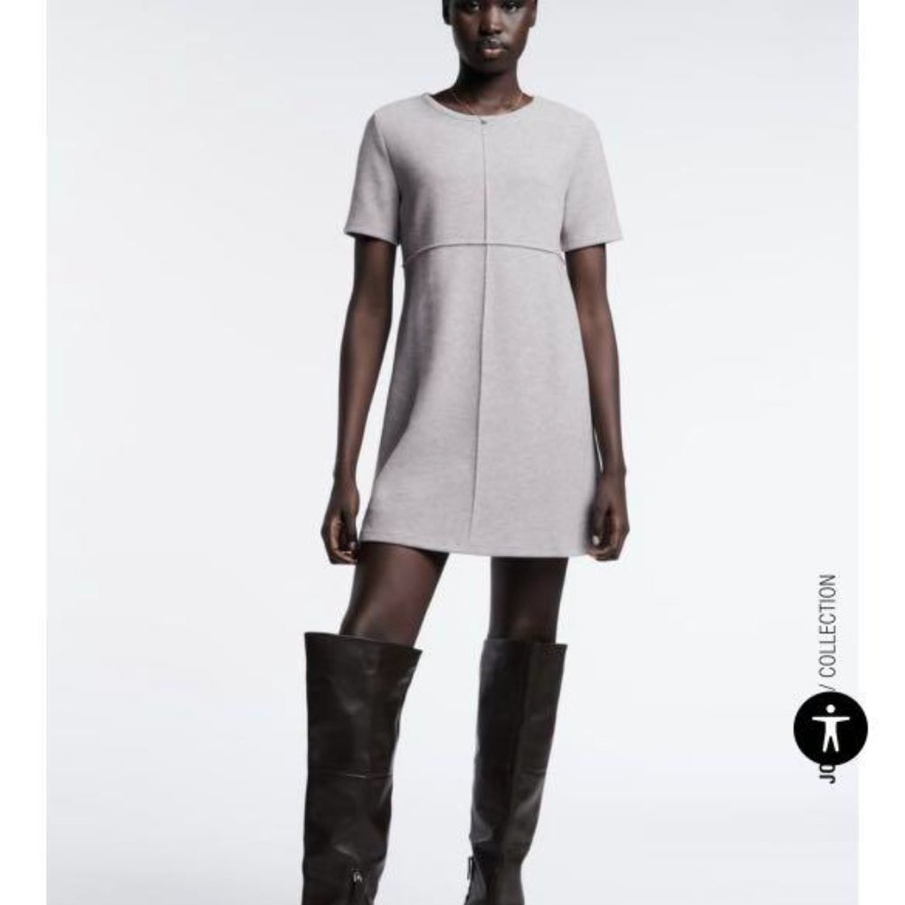 Zara Dress